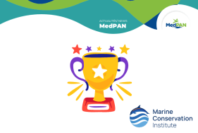Call for nominations for the 2026 Blue Park Awards | MedPAN - Le réseau ...
