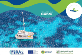 Achieving the 30x30 Target - Collaborative Efforts for Mediterranean ...